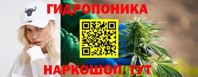 прущие грибы Лесосибирск